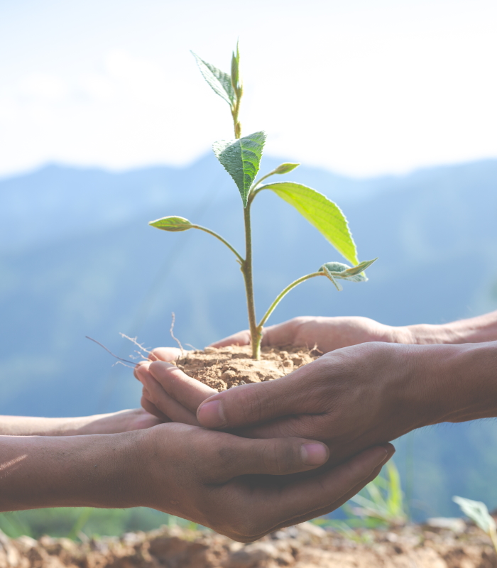 Concept of environmental conservation in the garden for children.